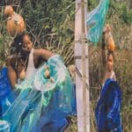 Festival LivMundi: Arte, Sustentabilidade e Transformação Social festival-livmundi